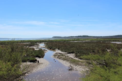 Tidal estuary with winding creek, salt marshes, and distant shoreline near Arès, France