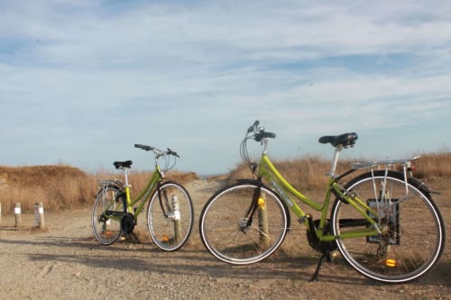 Trois vélos vert citron garés sur un terrain sablonneux avec une végétation côtière sèche à Groix, France