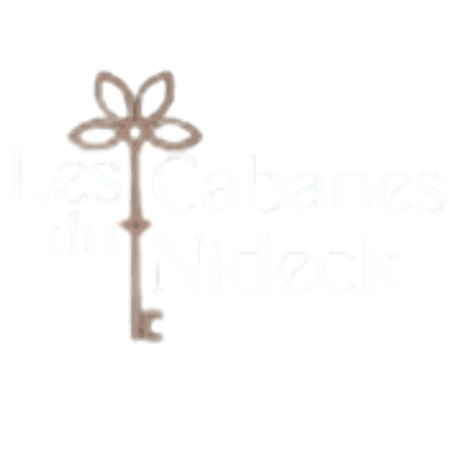 Decorative botanical key icon for Les Cabanes du Nideck, a bed and breakfast in Oberhaslach, France