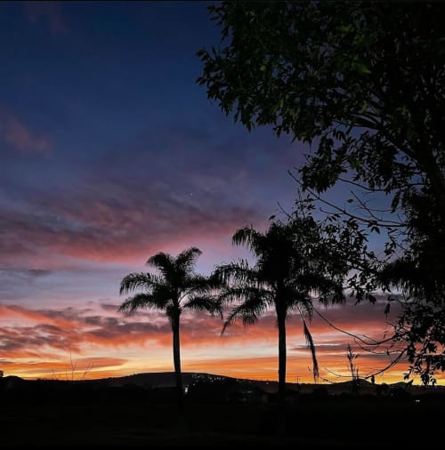 Silueta de atardecer tropical con palmeras en la villa Hotel El Porvenir de Querétaro, México
