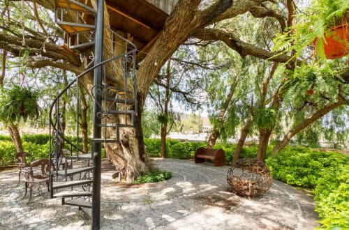 Refugio en casa de árbol del Hotel El Porvenir con escaleras de espiral metálica, jardín exuberante y vegetación colgante en Querétaro