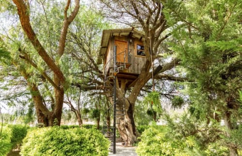 Villa en árbol del Hotel El Porvenir en Querétaro, México, rodeada de frondosa vegetación con estructura de madera y escaleras