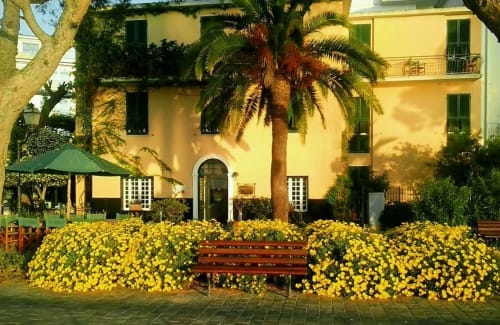 Cortile dell'Hotel Beau Rivage ad Alassio con crisantemi gialli, palma e facciata di villa mediterranea