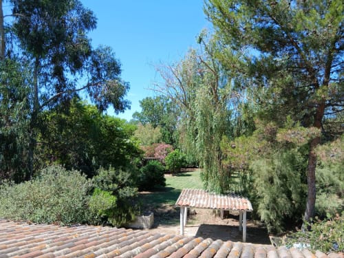 Vue du jardin au Mas d'Alivon, gîte à Arles, avec pergola en terre cuite et cyprès