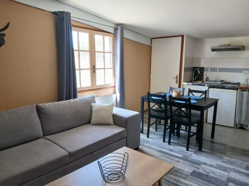 Studio familial au Mas d'Alivon à Arles avec canapé gris, table à manger, cuisine et accès à la terrasse