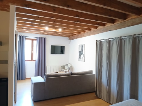 Salon contemporain du Mas D Alivon à Arles avec canapé gris, TV écran plat, poutres apparentes et mobilier design
