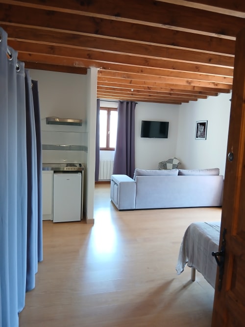 Séjour moderne au Mas d'Alivon B&B à Arles : poutres apparentes, canapé gris, télévision et kitchenette