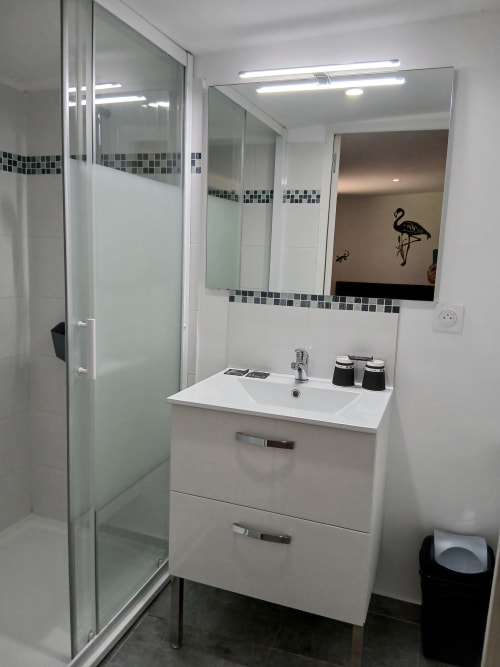 Salle de bain moderne avec vasque blanche, miroir et douche vitrée au Mas D Alivon BnB à Arles, France