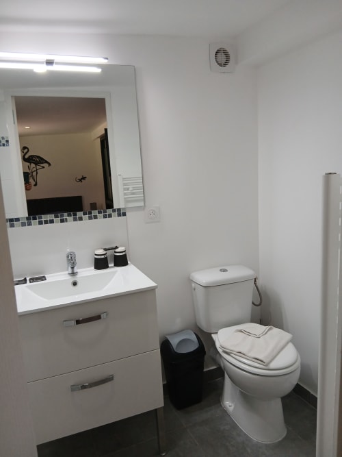 Salle de bains moderne de la Cabane 1 au Mas D'Alivon B&B, Arles avec lavabo, toilettes et miroir blanc