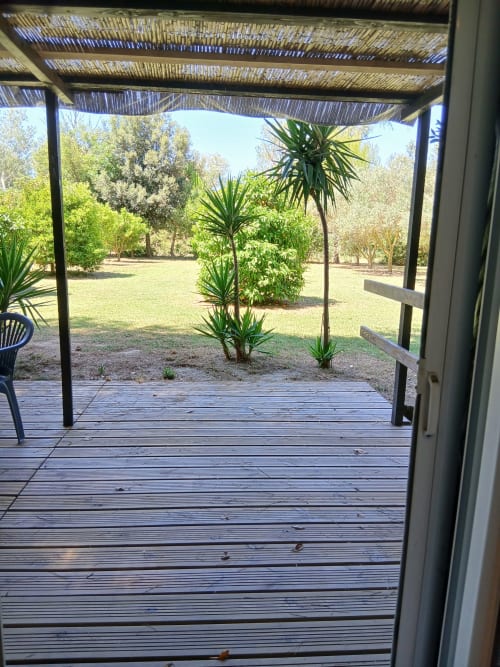 Terrasse en bois du Mas D'Alivon B&B à Arles, vue sur le jardin avec palmiers et pelouse