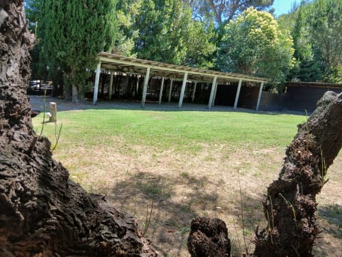 Cour du Mas d'Alivon à Arles avec structure couverte et arbres matures encadrant une pelouse verdoyante