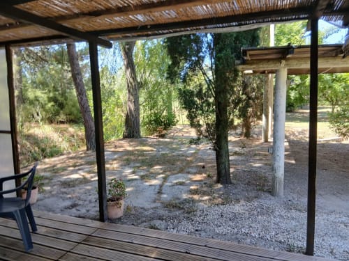 Vue de la terrasse ombragée du gîte Mas D Alivon à Arles avec arbres et sol gravillonné