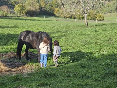 Deux enfants interagissent avec un cheval noir dans un pré verdoyant aux Granges Indigo, un gîte rural français