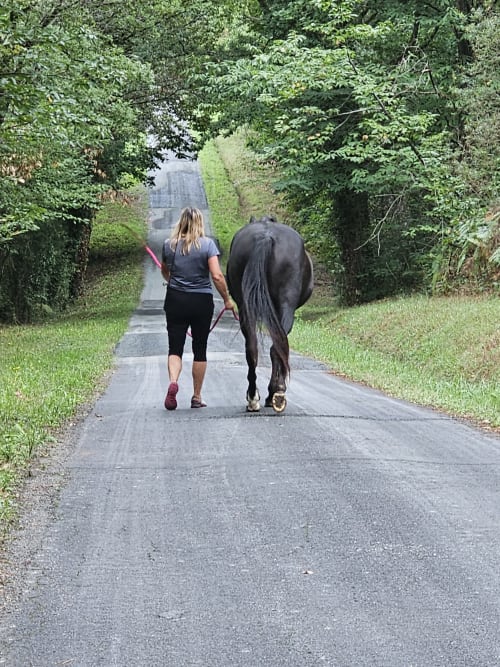 Femme qui court à cheval sur un chemin bordé d'arbres aux Granges Indigo, Fossemagne