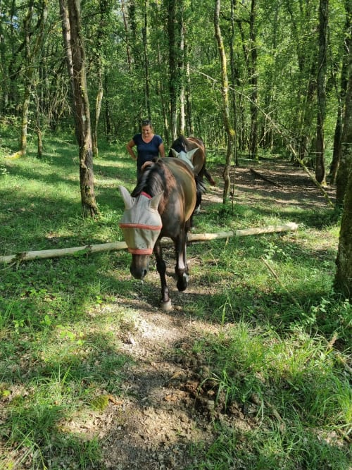 Femme guidant un cheval sur un sentier forestier aux Granges Indigo, un gîte rural français.