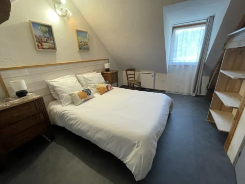 Chambre lumineuse aux Prairies du Val d'Amboise avec lit queen-size, mobilier en bois et fenêtre de toit à Noizay
