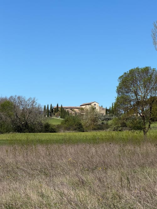La Grange Neuve B&B in Potélières, Tuscany-style stone villa with cypress trees and green countryside