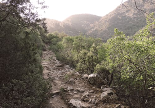 Rocky mountain trail through pine forest with scenic valleys near Hotel Domu Incantada in Muravera, Italy