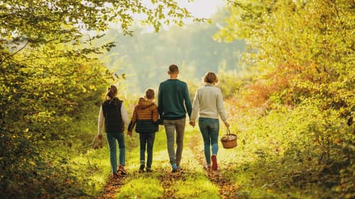 Famille se promenant sur un sentier forestier automnal près de l'hôtel Le Charollais à Vitry-en-Charollais, France