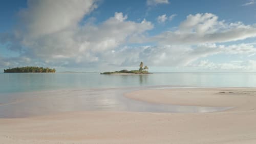 Lagon turquoise avec plage de sable blanc et îles bordées de palmiers à Tikehau Herearii, Polynésie française