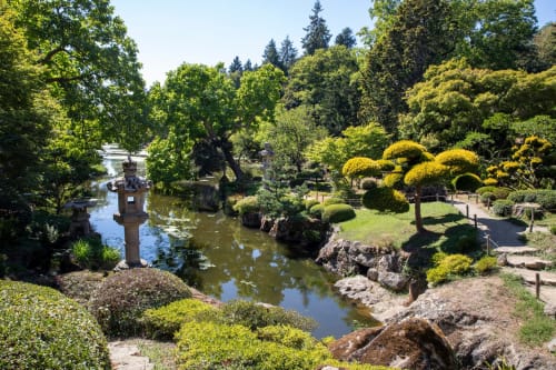 Jardin japonais à l'Appart'Hôtel de Cholet avec bassin, lanterne en pierre et arbres taillés