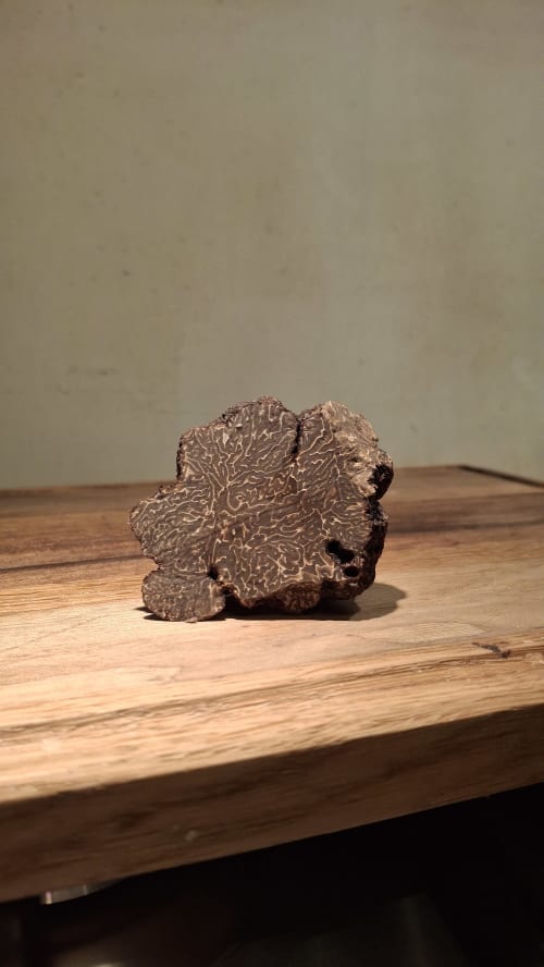 Truffle specimen displayed on wooden table at Gîtes Le Pech, Sainte-Foy-de-Longas