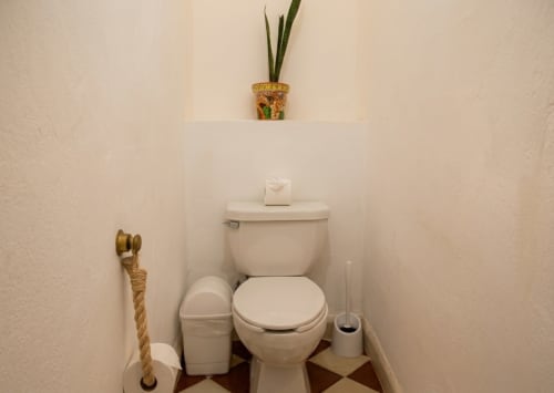 Pequeño baño con inodoro blanco, lavabo, papelera y planta en maceta en Villa Merida Boutique Hotel, Merida