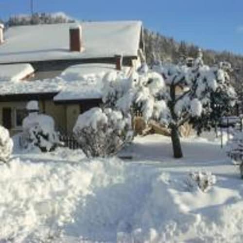 Snow-covered cottage and evergreen trees at Gîtes les Grandes voies in Le Ménil, French mountain village winter scene