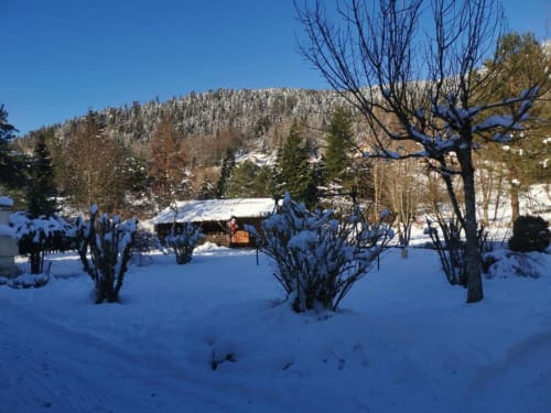 Snow-covered garden at Gîtes les Grandes voies with cottage, bare trees, and forested mountain backdrop in Le Ménil