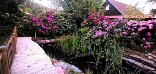 Vibrant pink flowers blooming along garden borders beside wooden deck and pond at Gîtes les Grandes voies cottage in Le