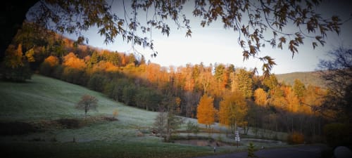 Autumn landscape at Les Cabanes du Nideck in Oberhaslach with golden forest, rolling green hills and mountain views from the
