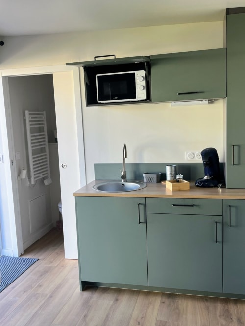 Kitchenette moderne du studio Haut Chalet aux Logis du canal avec armoires vert sauge, évier, micro-ondes et bois