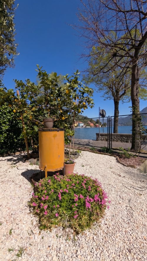 Giardino affacciato sul lago con fiori in fiore, limone e vista sul waterfront a Villa Italia
