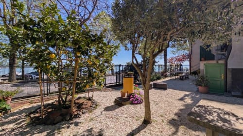 Terrazza soleggiata di Villa Italia con limoni, fiori e zona relax con vista sulla costa
