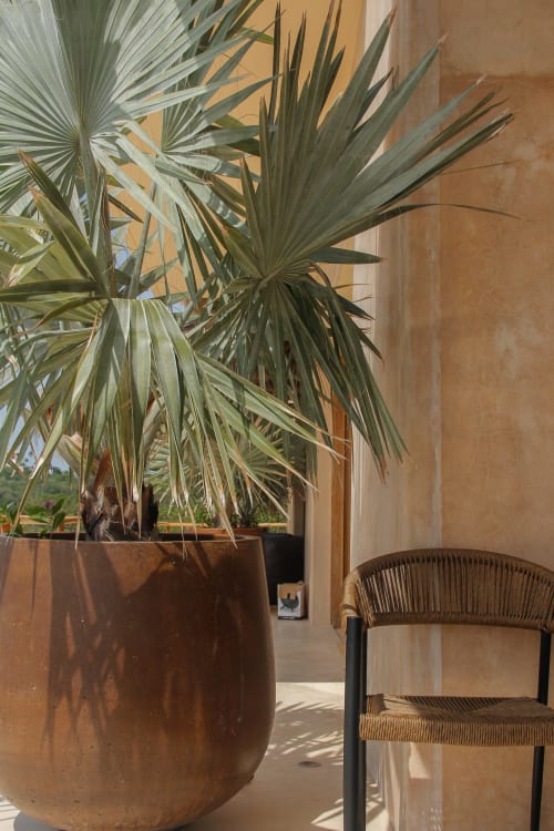 Frondosa planta de palma en maceta de barro cocido junto a silla tejida en Casa Baori, cabaña costera en Puerto Ángel
