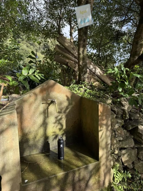 Fonte de água com placa 'Agua' na Villa Golden Mermaid em Ribeirinha, cercada por vegetação exuberante