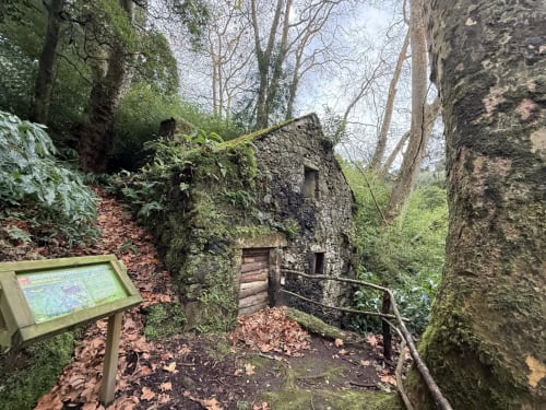 Ruined stone building with moss and ivy in forested area near Ribeirinha, Portugal