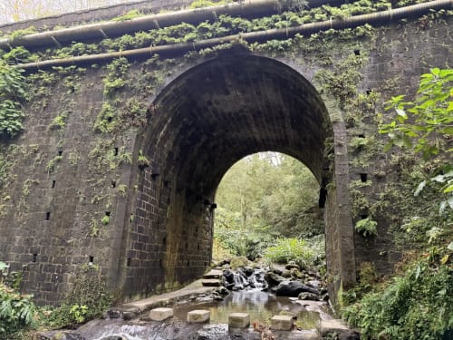 Historic stone arch bridge over stream with moss-covered walls, nestled in lush greenery near Ribeirinha, Portugal
