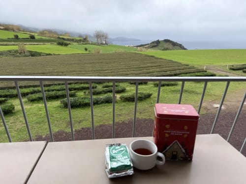 Tea and pastries at Golden Mermaid Villa with scenic Azores countryside views, Ribeirinha, Portugal