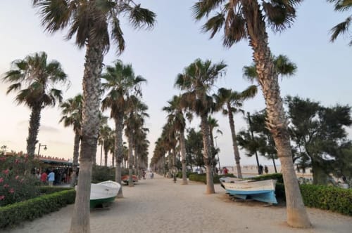 Paseo frente al mar con palmeras en Playa Las Arenas, Valencia, con embarcaciones y vistas al Mediterráneo