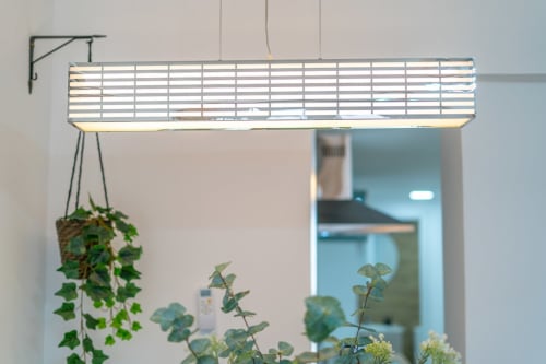 Interior moderno del apartamento con plantas colgantes bajo lámpara lineal en el techo de ML Apartments Valencia