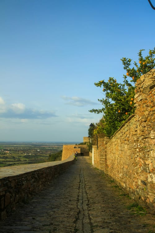 Caminho de pedra com laranjeiras em Cerro da Campaniça, Santiago do Cacém, vista para a paisagem rural portuguesa