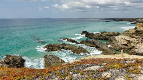 Águas costeiras turquesas com afloramentos rochosos e suculentas vermelhas em Cerro da Campaniça, Santiago do Cacém, Portugal