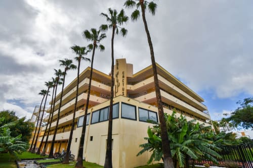 Home Stay Gran Canaria apartment building with palm trees in Las Palmas, Gran Canaria, featuring balconies and garden views