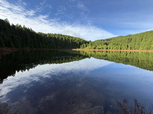 Serene forest lake with perfect mirror reflections near Golden Mermaid Villa, Ribeirinha Portugal