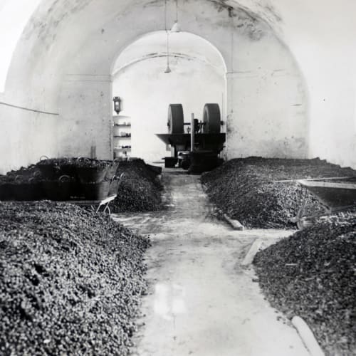 Tunnel industriale con cumuli di ghiaia e macchinari a Villa Ceci, Andria, Italia