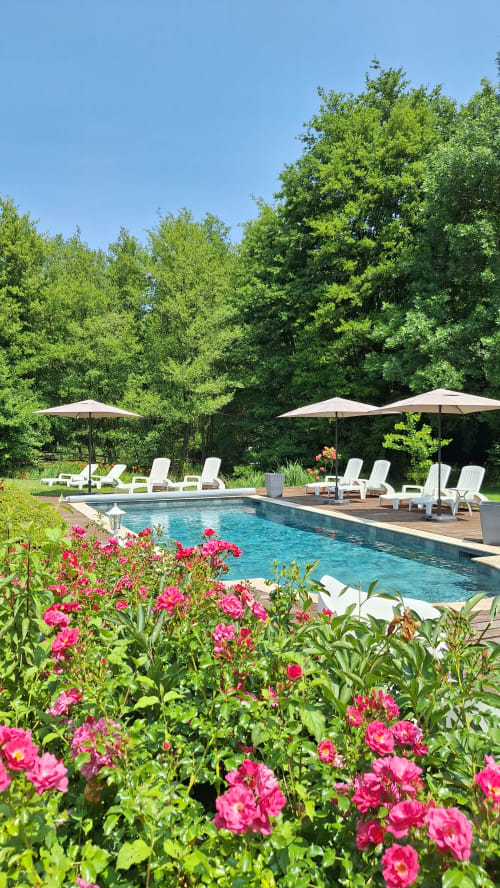 Piscine du Traînefeuilles B&B avec roses roses, transats, parasols et jardins luxuriants en Sologne, France