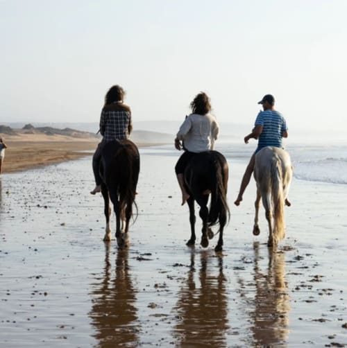 Trois cavaliers galopant sur la plage d'El Ghazouane au Maroc, près du Riad Eucalyptus