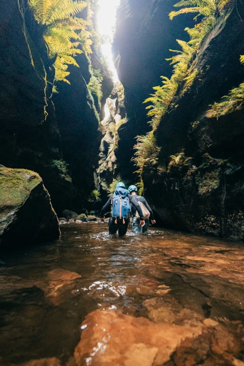 Hikers wading through mountain stream in lush canyon, Madeira adventure tourism destination