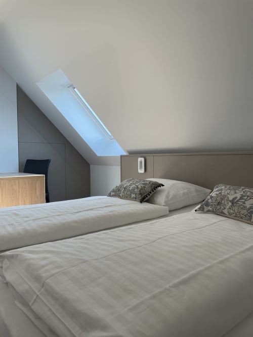 Chambre mansardée moderne à La clé des vignes avec puits de lumière, deux lits, oreillers à motifs et mobilier minimaliste